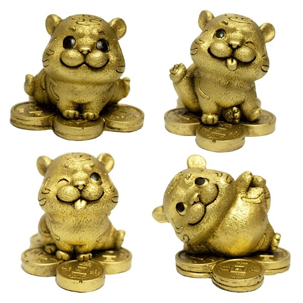 Tigre Bebe Posiciones Sobre Monedas