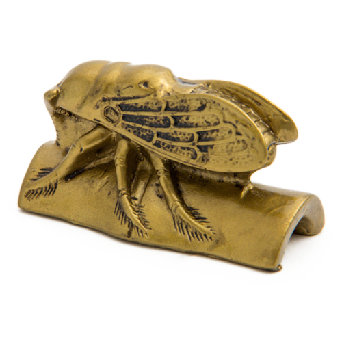 Cigarra Dorada