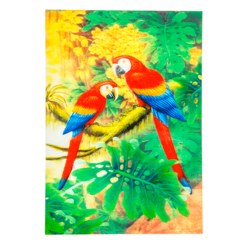 Lamina Fotografia Surtida 3D