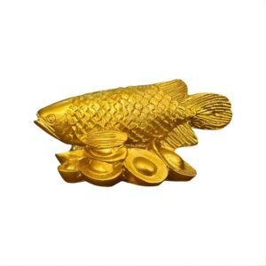 Pez Arowana Dorado Pequeño