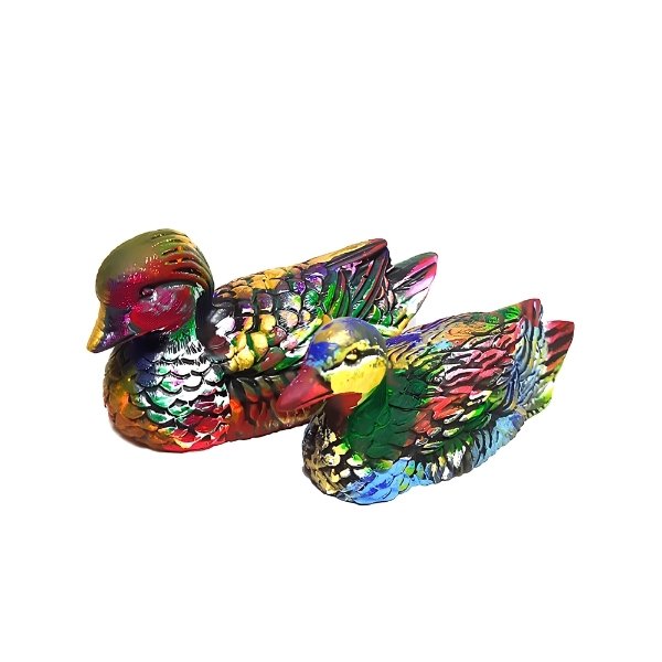 Patos Mandarín Pareja