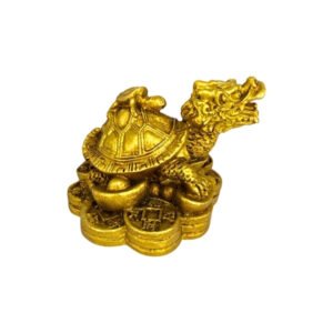 Tortuga Dragon Mini