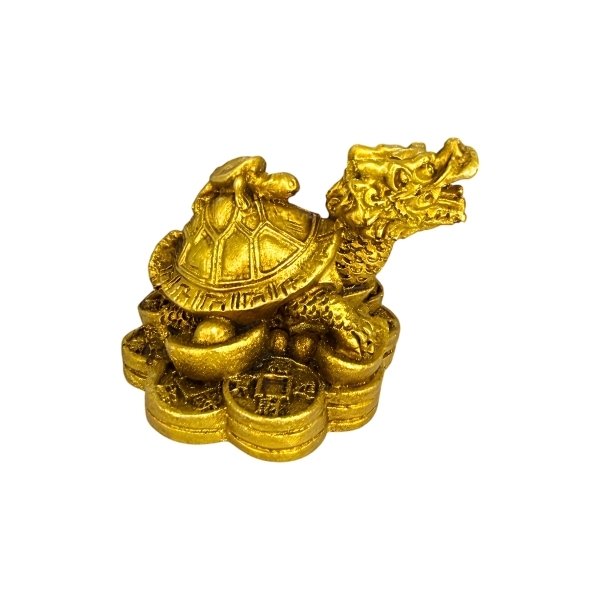 Tortuga Dragon Mini