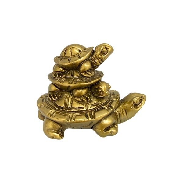 Tortuga Mini 3 Generaciones