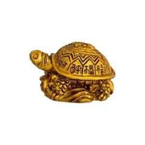Tortuga Pequeña Símbolo Chino